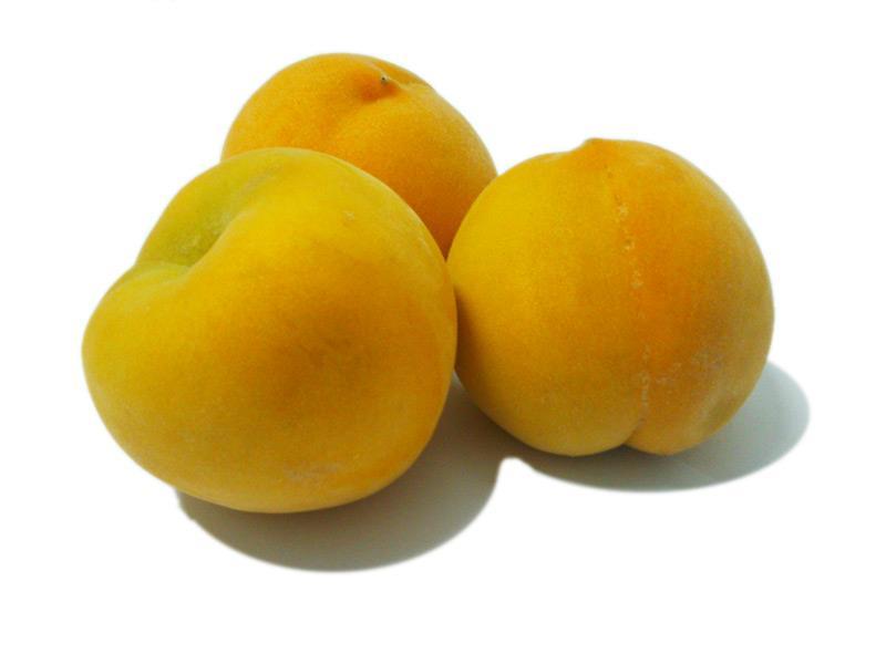 Prèssec groc  (500 grams) | 263 | Origen: Lleida