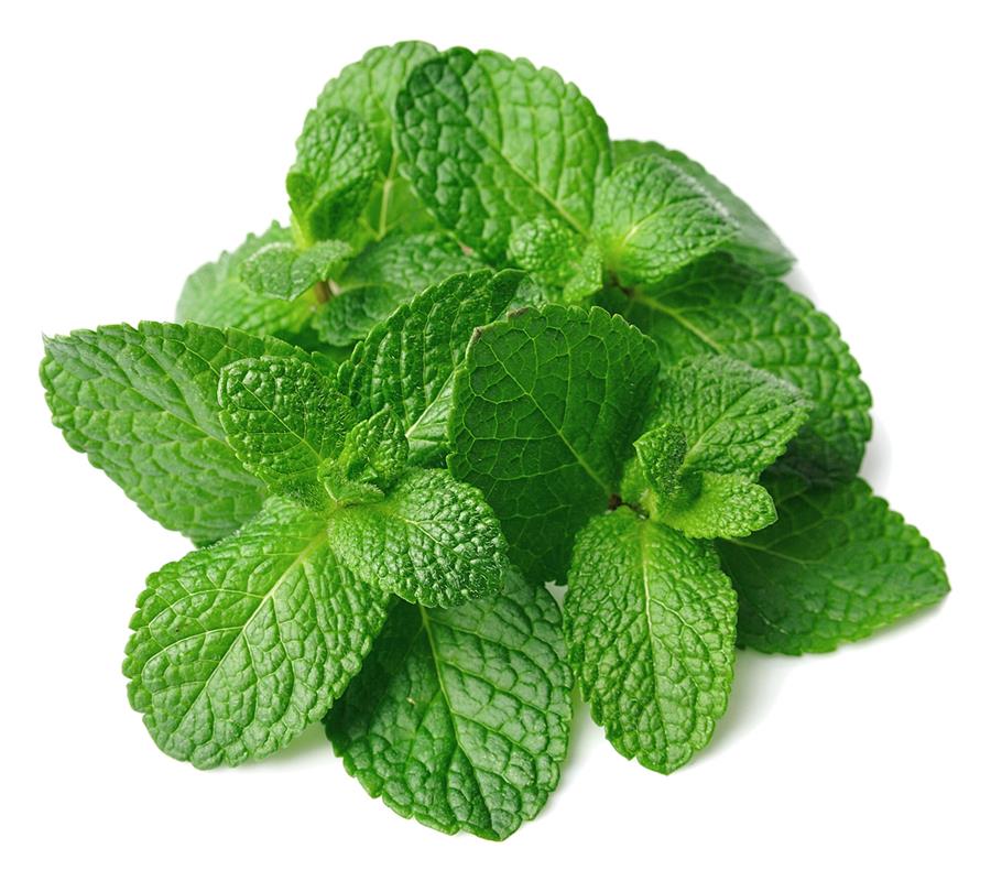 Menta (manat) | 684 | Origen:Viladecans