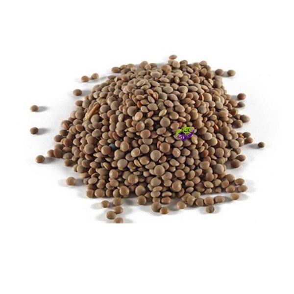 Llentia pardina a granel (500 grams) | 495 | Origen:La Segarra