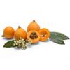 Nespre (safata 500g) | 543 | Origen: Alacant
