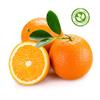 TARONJA | 11128 | Origen: Tortosa