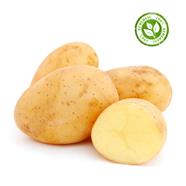 PATATA BLANCA | 11112 | Origen: Baix Llobregat 
