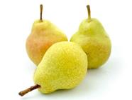 Pera Ercolina  | 425 | Origen: Pirineu Català