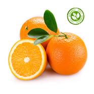 TARONJA | 11128 | Origen: Tortosa