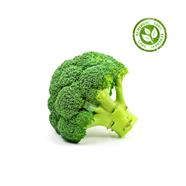 BROCOLI 1 cap 500 GRAMS aprox. | 11117 | Origen: França