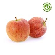 POMA ROYAL GALA DEL PIRINEU | 114 | Origen: Ivars D'Urgell