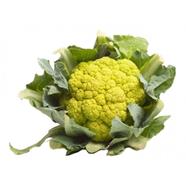 Bròquil verd  | 248 | Origen: Vilassar