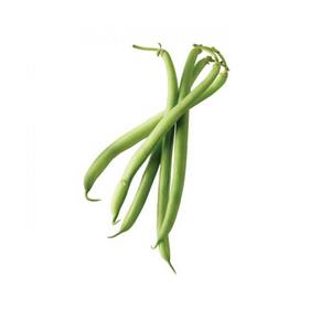 Mongeta rodona (500 grams) | 259 | Origen: Vilassar