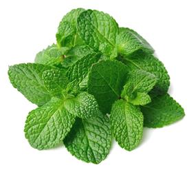 Menta (manat) | 684 | Origen:Viladecans