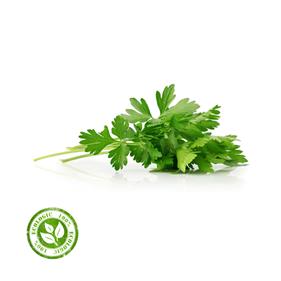 JULIVERT  MANAT | 11125 | Origen: Vilassar