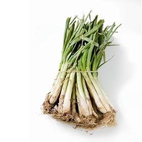 Calçot mini per arrebossar (15 unitats) | 532 | Origen: Sant Pol