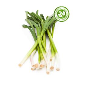 ALL TENDRE | 1113 | Origen: Vilassar