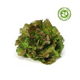 ENCIAM MERAVELLA | 232 | Origen: Vilassar