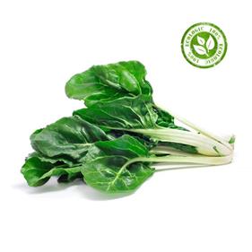 BLEDA  VERDA  MANAT | 233 | Origen: Vilassar