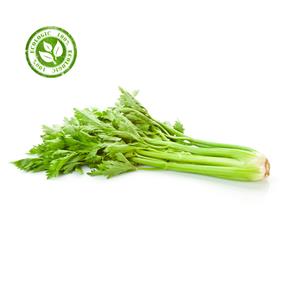 API (1 kg) | 1114 | Origen: Baix Llobregat