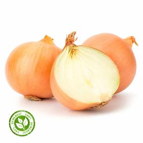 CEBA SECA  | 11120 | Origen: Lleida