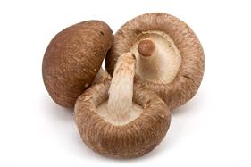 Shitake  | 616 | Origen: La Rioja