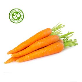 PASTANAGA MANAT | 111 | Origen: Cabrera