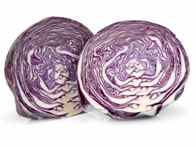 col lombarda  | 558 | Origen: Tarragona 