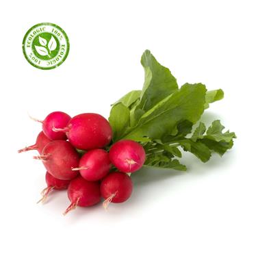 RAVE MANAT | 11114 | Origen: Vilassar 