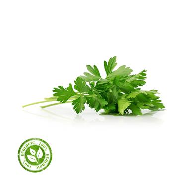 JULIVERT  MANAT | 11125 | Origen: Vilassar