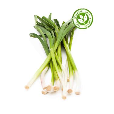 ALL TENDRE | 1113 | Origen: Vilassar