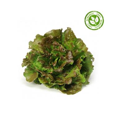 ENCIAM MERAVELLA | 232 | Origen: Vilassar