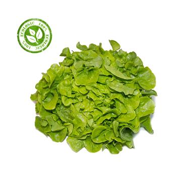 ENCIAM ROURE VERD | 91 | Origen: Vilassar