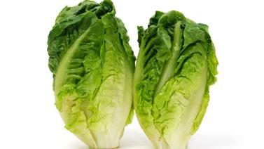 Cabdell (unitat) | 602 | Origen: Sant Boi